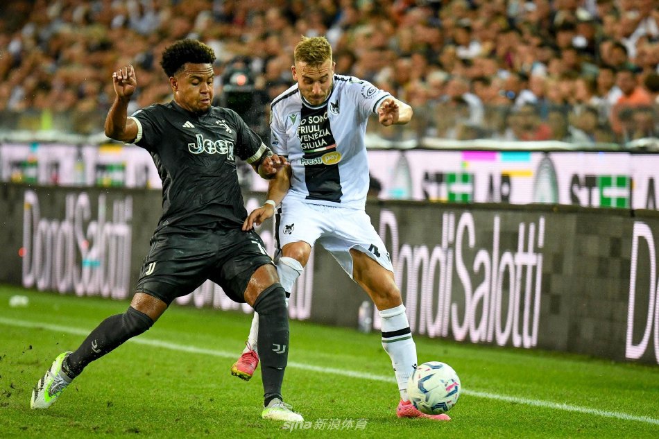 分析赛道结 分析赛道结